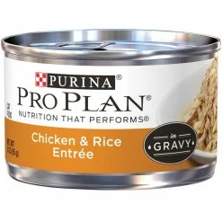 Buy ⭐ Purina Pro Plan Chicken & Rice Entree Cat Food, 3 Oz. ????