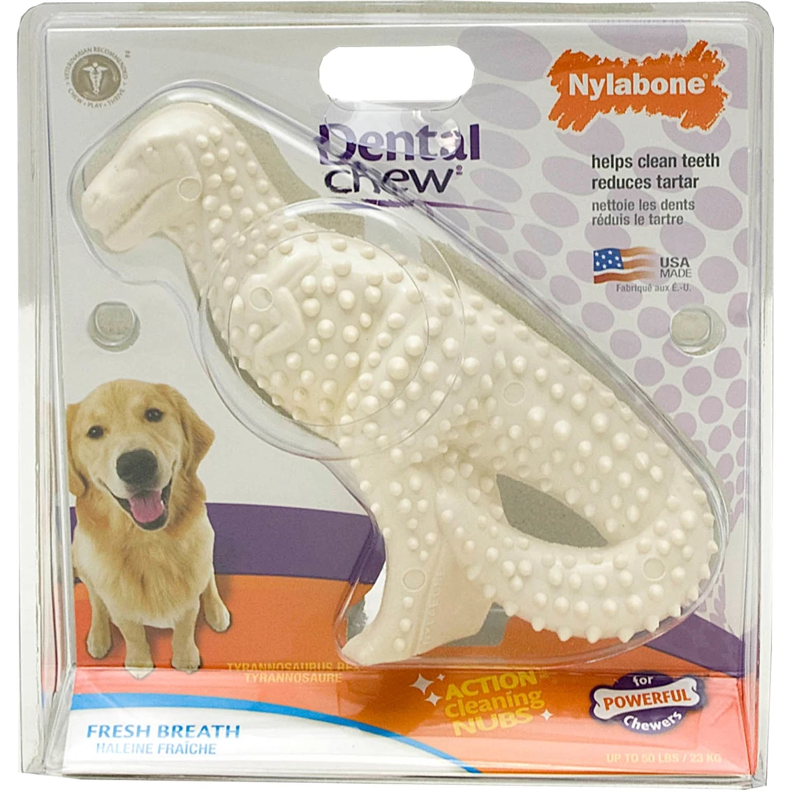 Budget ???? Nylabone Durable Dental Dinosaur Large ???? 1 Budget ???? Nylabone Durable Dental Dinosaur Large ????