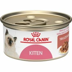 Best Pirce ⭐ Royal Canin Feline Health Nutrition Kitten Food, 3 Oz. 🛒