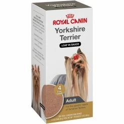 Cheap ✨ Royal Canin Breed Yorkshire Terrier Adult Loaf In Sauce ???? Dog Food, 3.0 Oz. / 4 Pk. ????