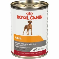 Coupon ???? Royal Canin Adult Canine Health Nutrition In Gel Canned ???? Dog Food ❤️