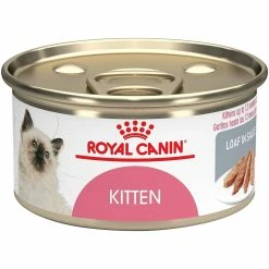 Best Pirce 🛒 Royal Canin RCFHN Kitten Instinctive (Loaf) ✔️