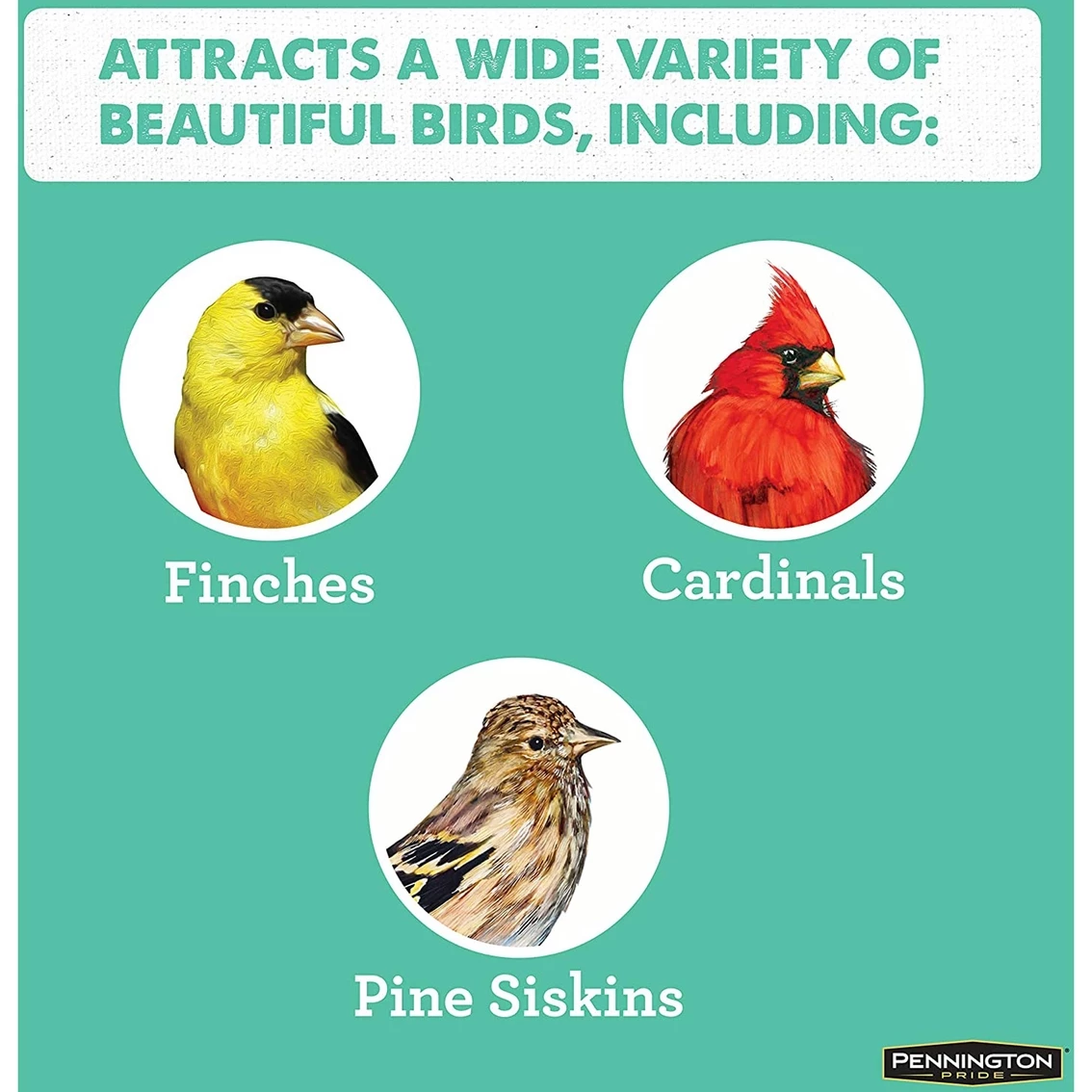 Best Sale ✨ Pennington Pride Wild Finch Blend ⌛ 3 Best Sale ✨ Pennington Pride Wild Finch Blend ⌛ - Image 3