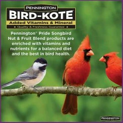 Best Sale ✨ Pennington Pride Songbird Nut And Fruit Blend, 10 Lb. 🛒 -Milk Bone Shop unnamed file 506
