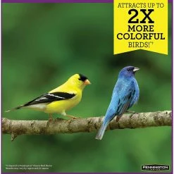 Best Sale ✨ Pennington Pride Songbird Nut And Fruit Blend, 10 Lb. 🛒 -Milk Bone Shop unnamed file 507