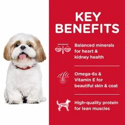 Brand new ๐ฏ Science Diet Adult Small Bites Active Longevity Dry ๐ถ Dog Food, 5 Lb. Bag โ๏ธ 7 Brand new ๐ฏ Science Diet Adult Small Bites Active Longevity Dry ๐ถ Dog Food, 5 Lb. Bag โ๏ธ -Milk Bone Shop unnamed file 59