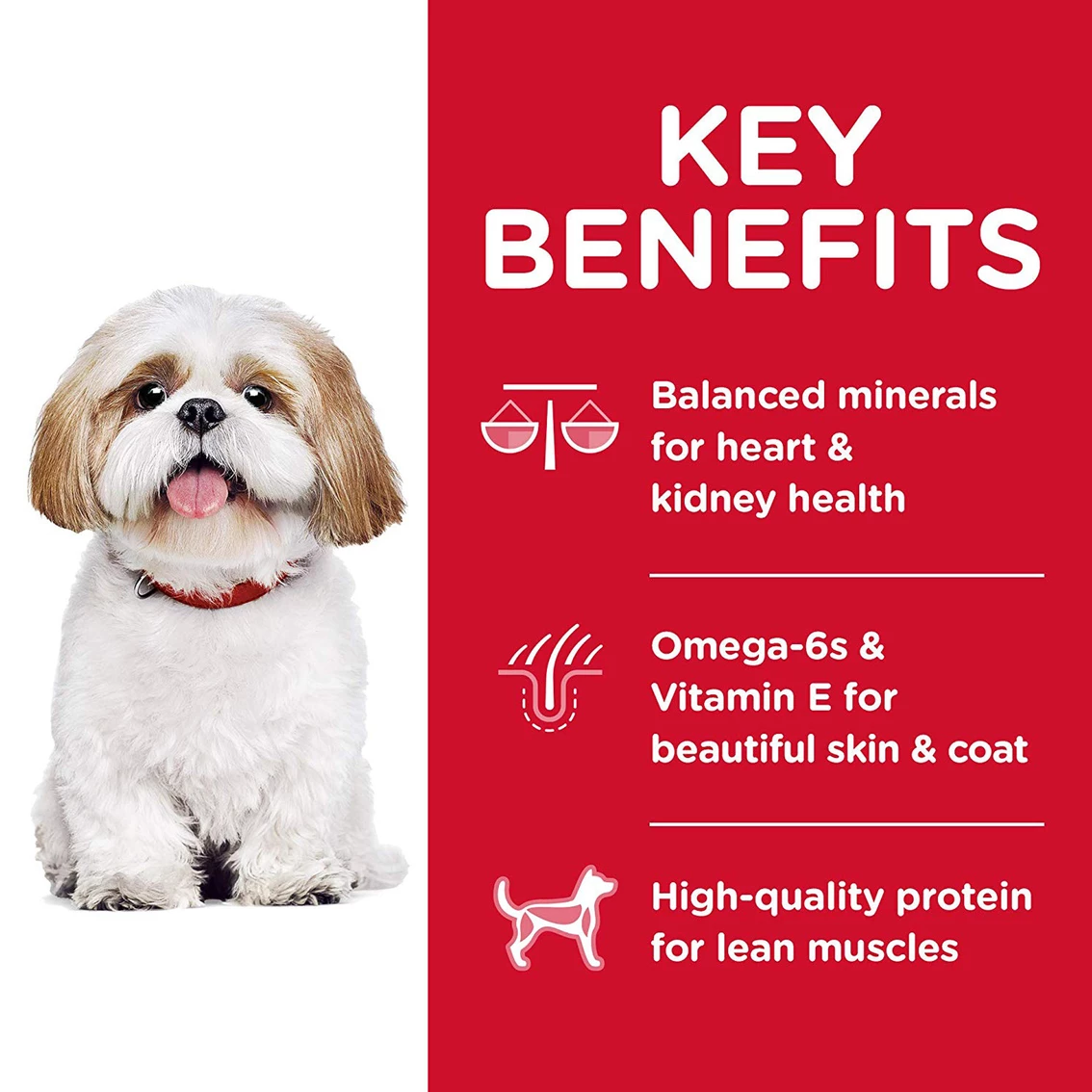 Brand new ๐ฏ Science Diet Adult Small Bites Active Longevity Dry ๐ถ Dog Food, 5 Lb. Bag โ๏ธ 4 Brand new ๐ฏ Science Diet Adult Small Bites Active Longevity Dry ๐ถ Dog Food, 5 Lb. Bag โ๏ธ - Image 4