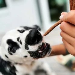 Best Pirce ???? Greater Wild Beef Recipe Jerky Sticks, Semi Moist Treats For ???? Dogs 10 Oz., 2 Pk. ???? 11 Best Pirce ???? Greater Wild Beef Recipe Jerky Sticks, Semi Moist Treats For ???? Dogs 10 Oz., 2 Pk. ???? -Milk Bone Shop unnamed file 608