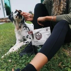 Flash Sale ???? Greater Wild Beef Recipe Jerky Sticks Semi Moist Treats For ???? Dogs 3 Oz., 3 Pk. ⌛ -Milk Bone Shop unnamed file 616