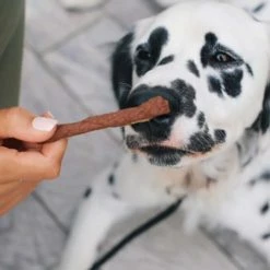 Flash Sale ???? Greater Wild Beef Recipe Jerky Sticks Semi Moist Treats For ???? Dogs 3 Oz., 3 Pk. ⌛ -Milk Bone Shop unnamed file 617