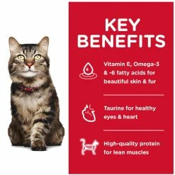 Wholesale βοΈ Hill's Science Diet Adult Hairball Control Chicken Recipe Dry Cat Food 3.5 Lb. 𧨠7 Wholesale βοΈ Hill's Science Diet Adult Hairball Control Chicken Recipe Dry Cat Food 3.5 Lb. 𧨠-Milk Bone Shop unnamed file 75