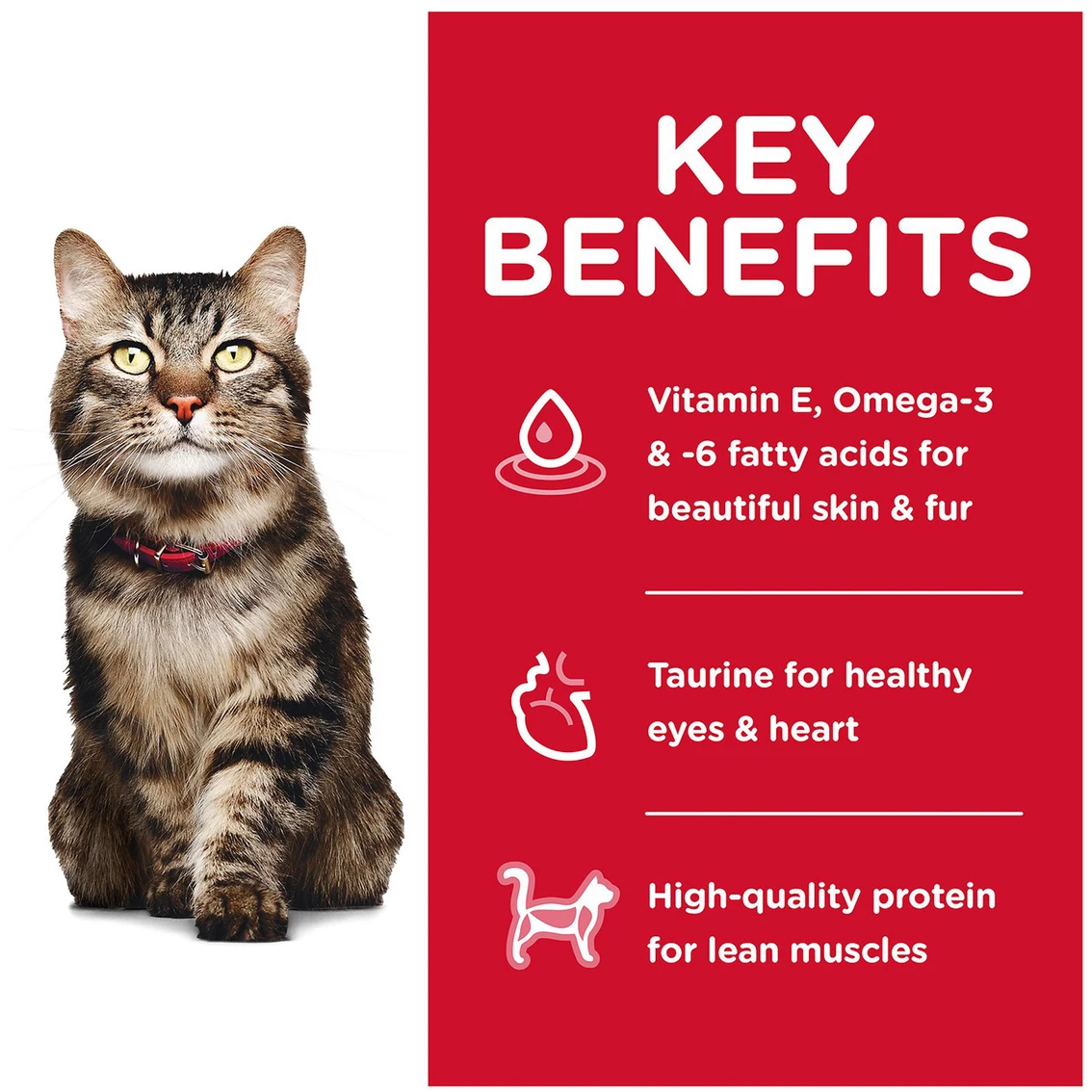 Wholesale βοΈ Hill's Science Diet Adult Hairball Control Chicken Recipe Dry Cat Food 3.5 Lb. 𧨠4 Wholesale βοΈ Hill's Science Diet Adult Hairball Control Chicken Recipe Dry Cat Food 3.5 Lb. 𧨠- Image 4