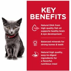 Hot Sale 👍 Hill's Science Diet Kitten Indoor Chicken Recipe Dry Cat Food 3.5 Lb. ✔️ -Milk Bone Shop unnamed file 81